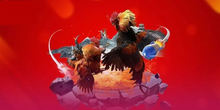 Đá Gà EV88 Trực Tuyến Nền Tảng Hàng Đầu Cho Kê Thủ 2025